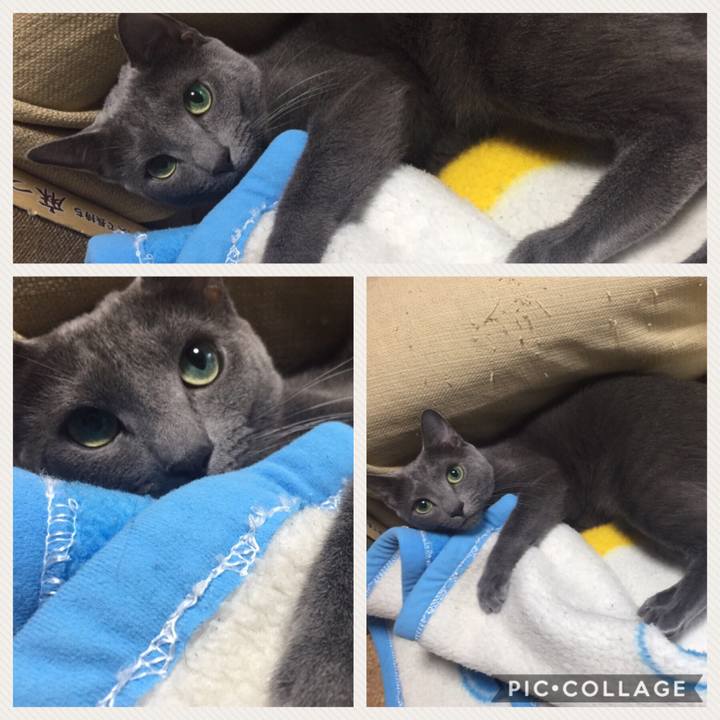 0c633fa5 1b54 4cd5 a914 3ced652999fd