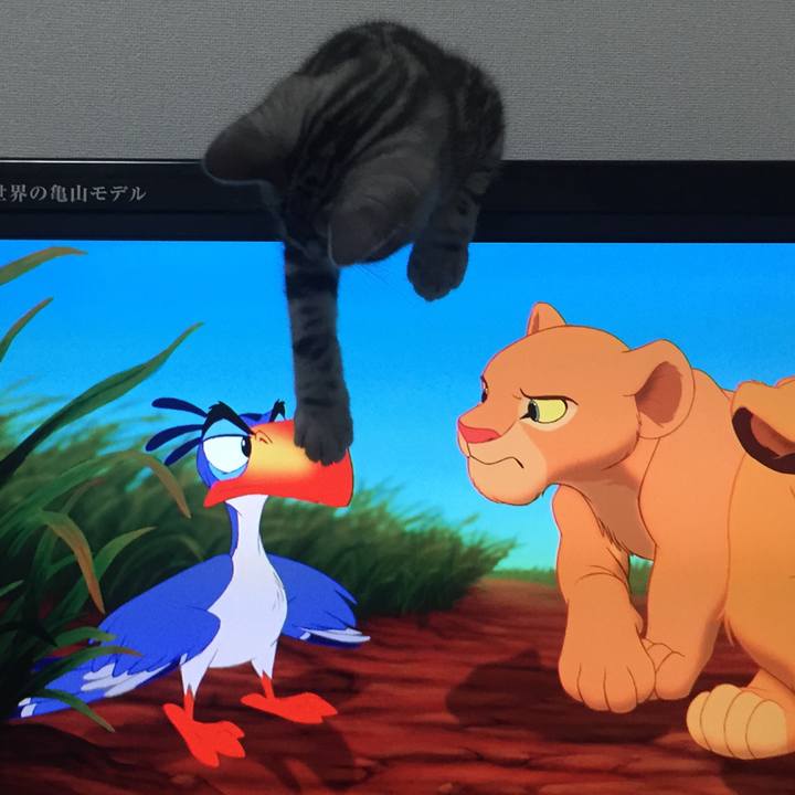 0c63738f 16b9 4115 bfee 9d4ef5f757bf