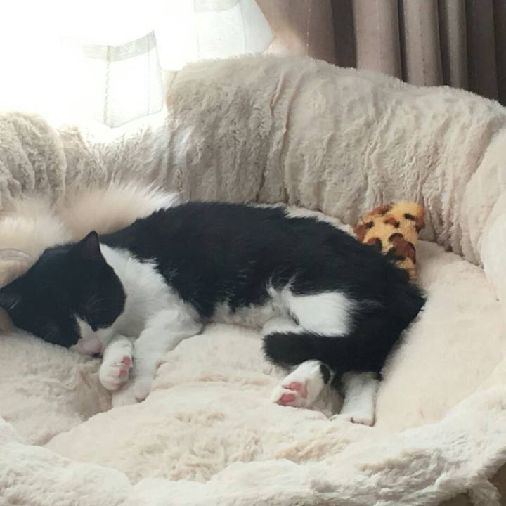 0c64fbe9 9ff3 4e1d 8bb3 fa52e13ec909