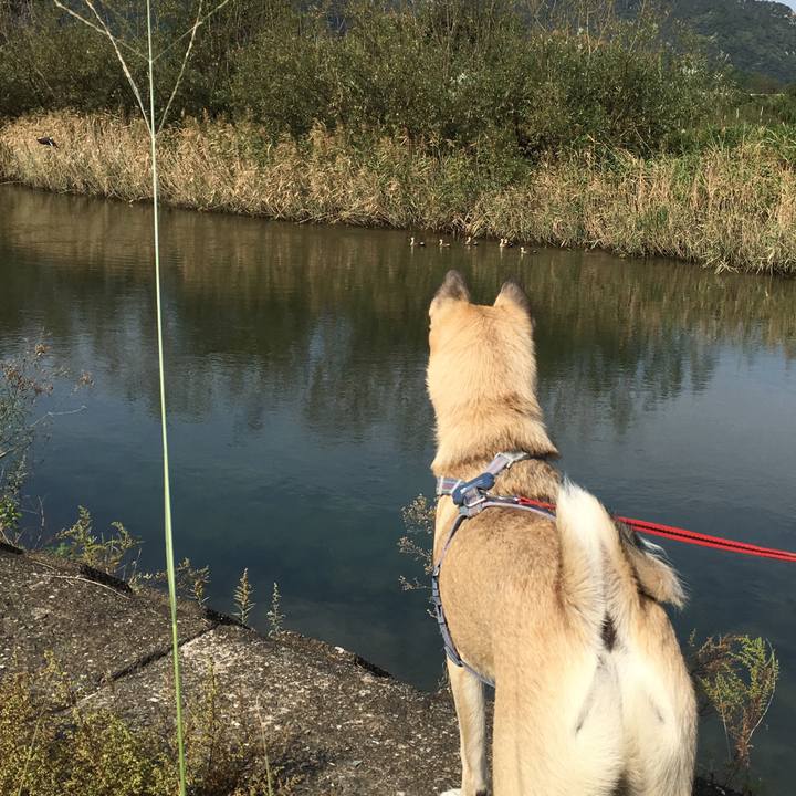 0c651109 32e1 4e8b 87f2 ef52c3ce3bcb