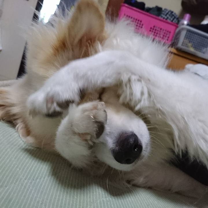 0c6563ba 3b6f 4488 b167 cb26cc6facda