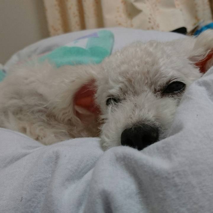 0c65e679 fc20 44d1 97e1 b810dc8b3f6f