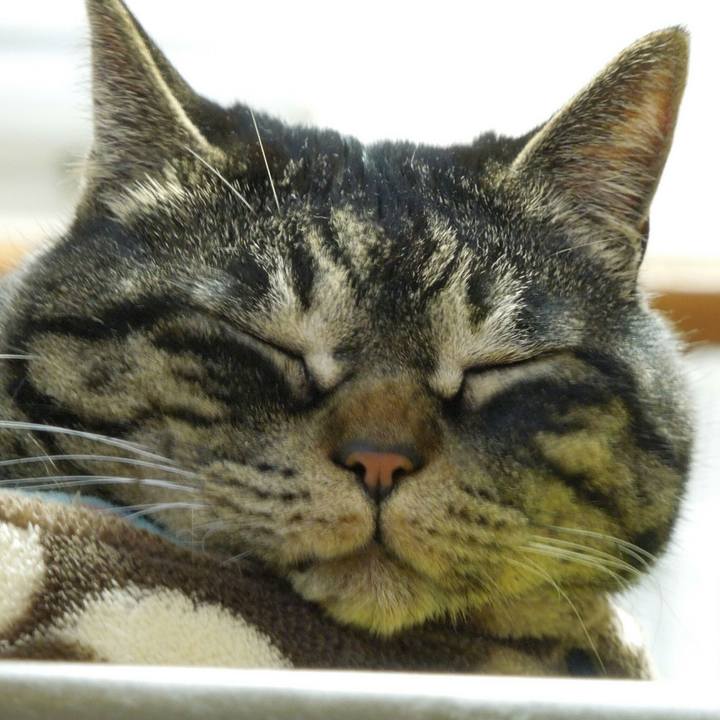 0c666867 34d1 4266 a53c 19154ecd3989