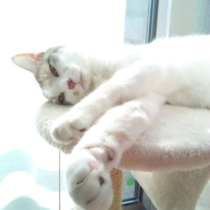 0c666d22 e8c6 4802 b0d5 71ce4f63d0a4