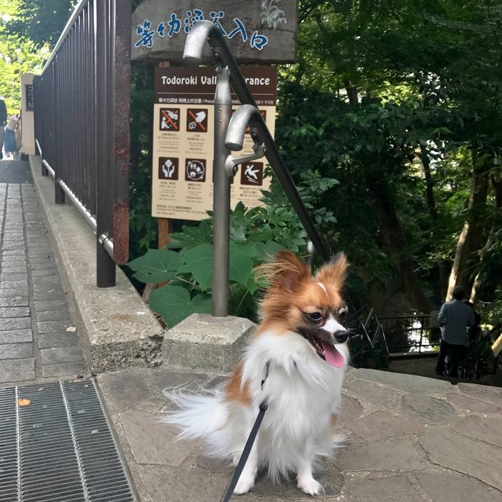 0c66b116 b8a8 4c3c b6ee 5a9cc6ec7685