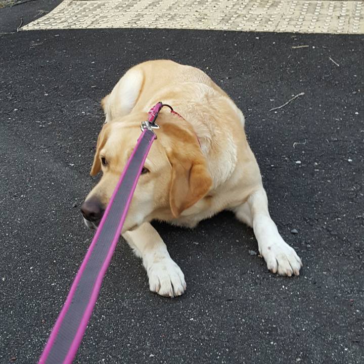 0c6882b2 1a35 4351 934b 4bcf9a870ea5