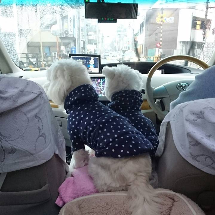 0c688785 60f2 4fd3 9f96 50c60f9531da