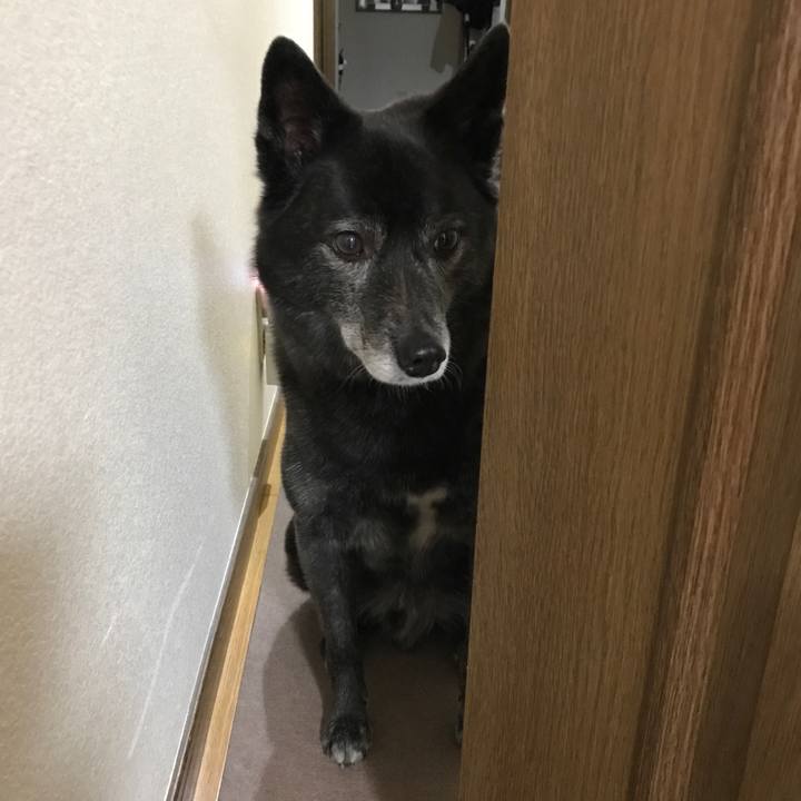 0c68e1b1 2e02 49b6 a417 d0a59ad1acb5