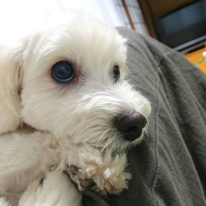 0c69549a f6bb 493a abbe dd9783ec8c0d