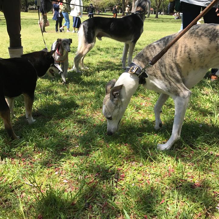 0c697259 c24c 49f7 a492 e7744c61448a