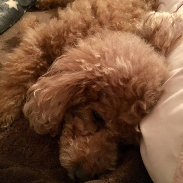 0c69893c 6572 4096 8654 5252cfd57a22