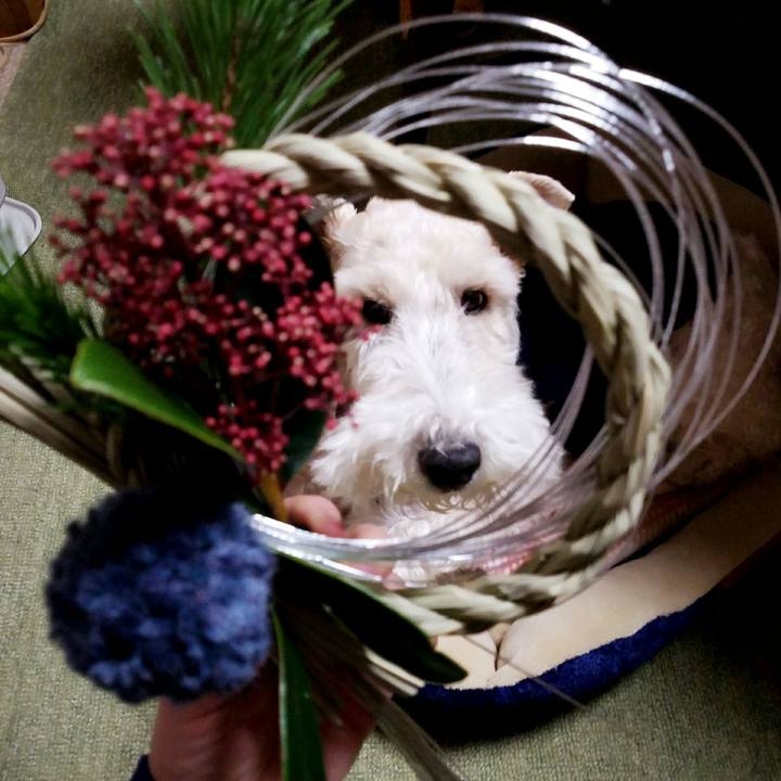 0c69c5b3 fb82 4935 87f2 1bd05df36d39