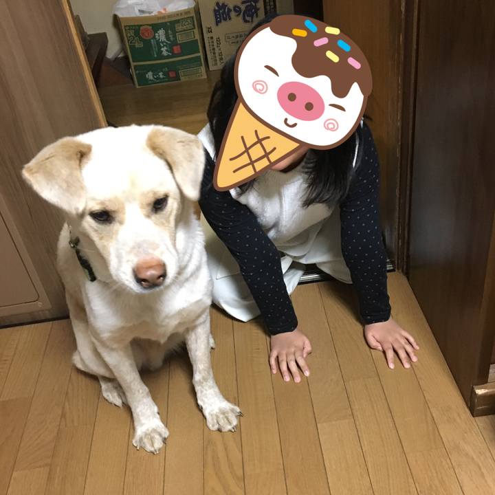 0c69e583 7aba 4bce 8c4d 8b67e084a67f