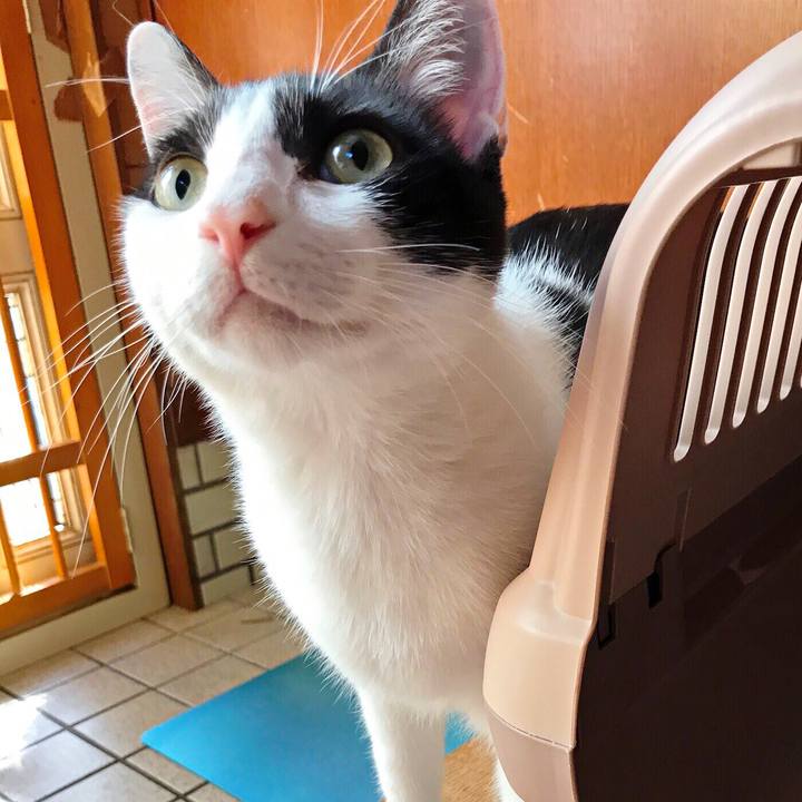 0c6a06a5 894e 44c9 8b8f d1b539002331