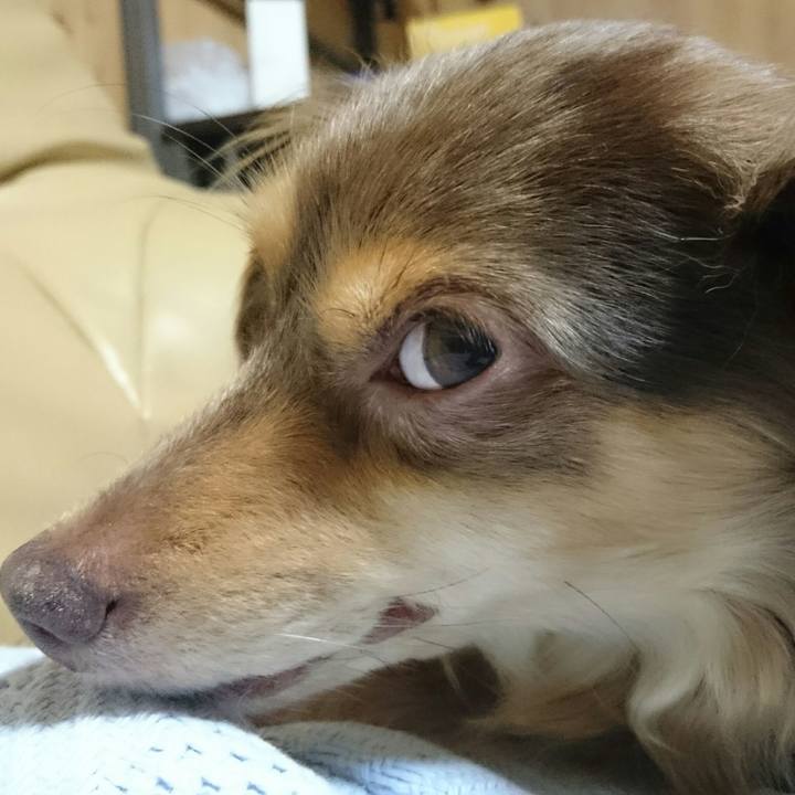 0c6a0a1a 8945 4997 8107 6917947df5ac