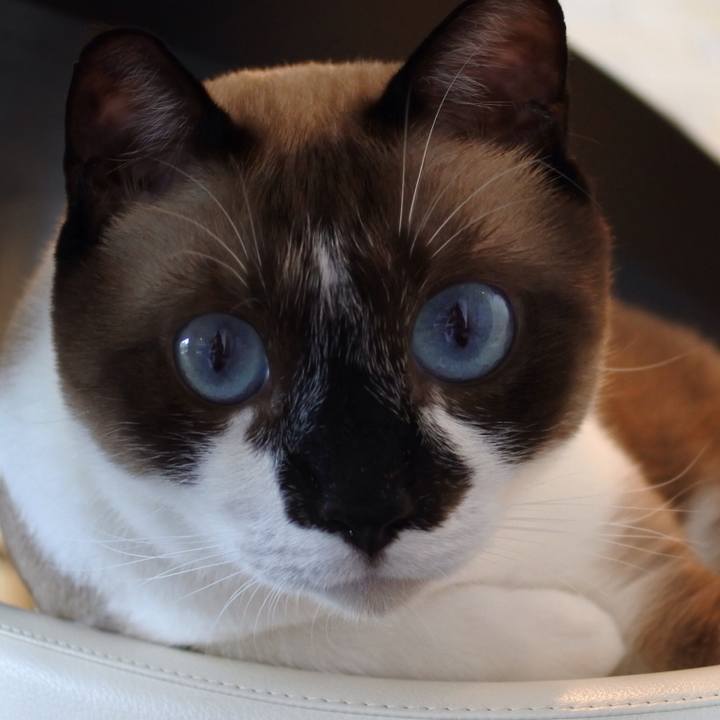 0c6a4390 4d98 4c20 be1b 6036fd3104b6