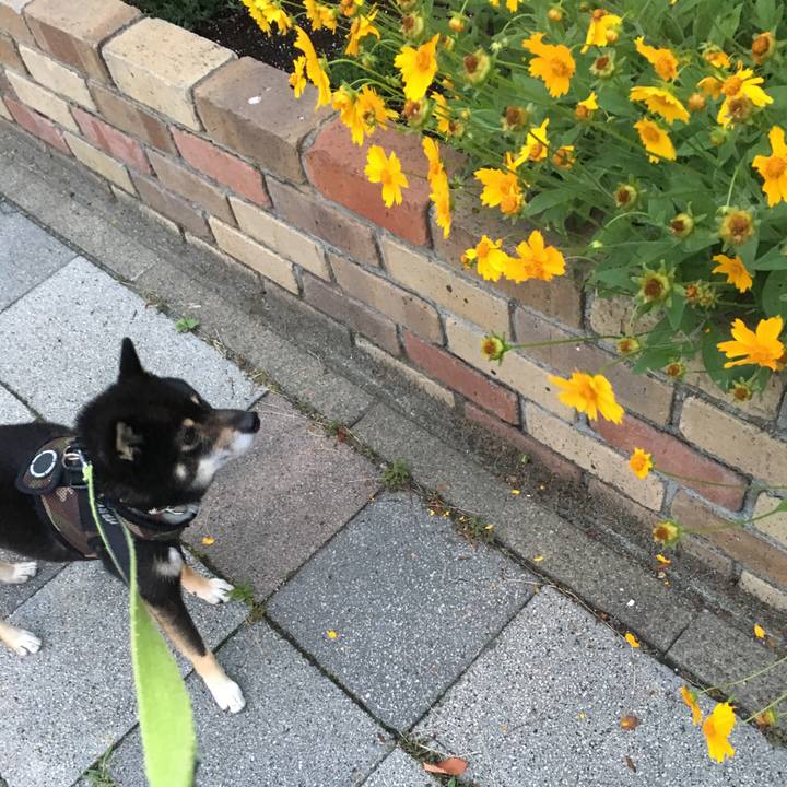 0c6a463a 97fa 4244 b783 ba8d002ed512