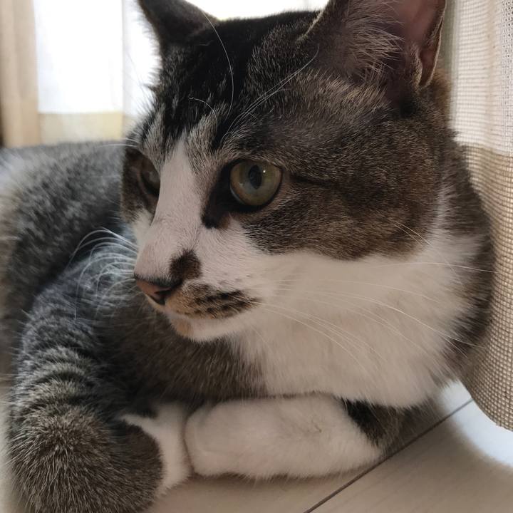 0c6ae51d a782 46fd b23a f9968b073077