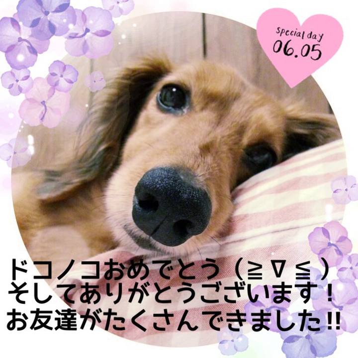 0c6af4dd e7e2 4267 9195 ed610891e101