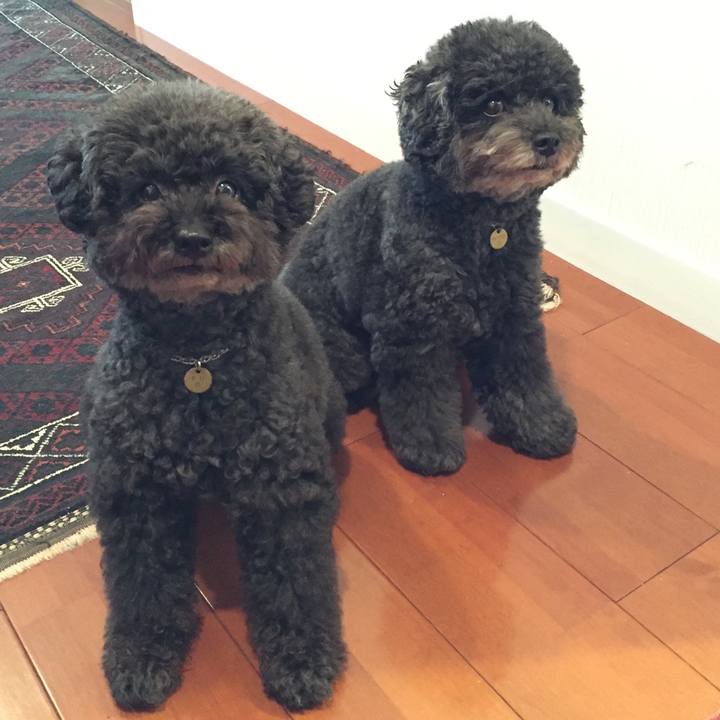 0c6b31b0 c13c 42cd 8ac5 65a635060b87