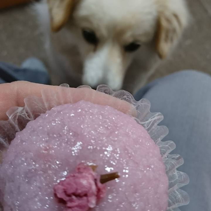 0c6b3d3c e37f 4370 ace8 14b8e62f9aff