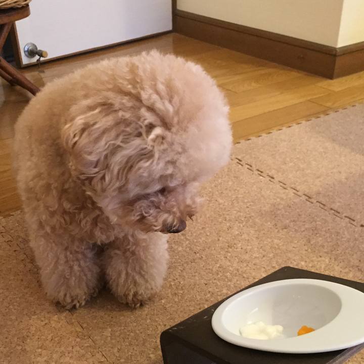 0c6b44ba 28cd 4598 a5ba 55e557ccf1bf