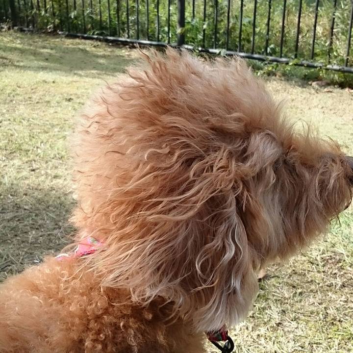 0c6b89bc b2ab 40b1 a070 f97ffd642194