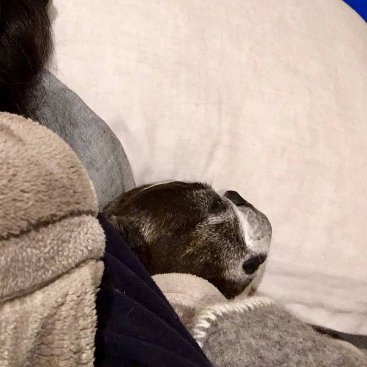 0c6b9a46 4b25 40cb b628 ff928d2cec3e