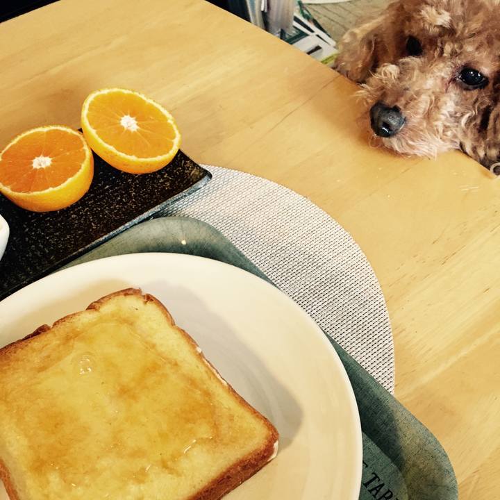 0c6c6f2f 661f 4607 b166 7f6b131aa01f