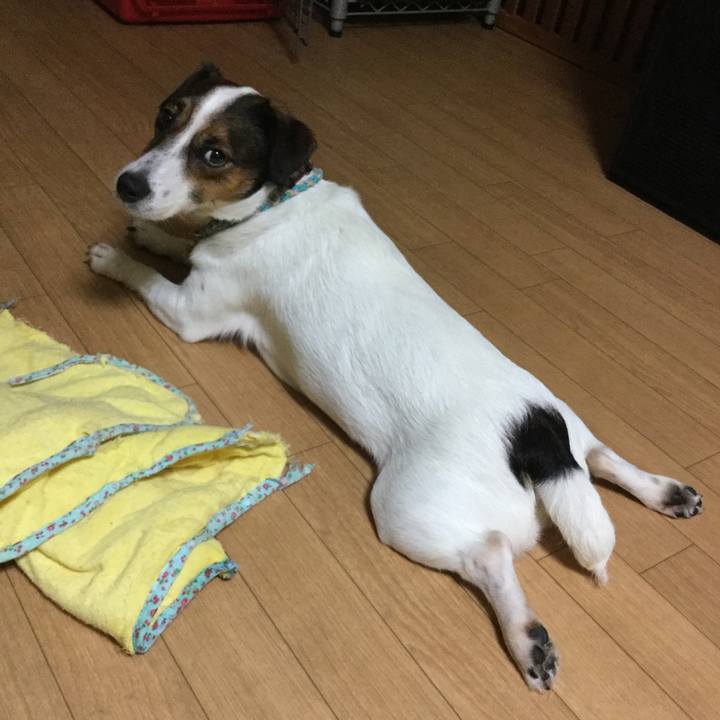 0c6c8cdb ae8d 49ce 9678 208de10742a4