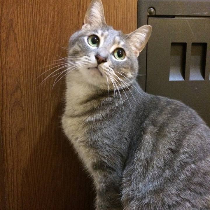 0c6cedec 80ba 4ffb af91 8f8403d8e0f8