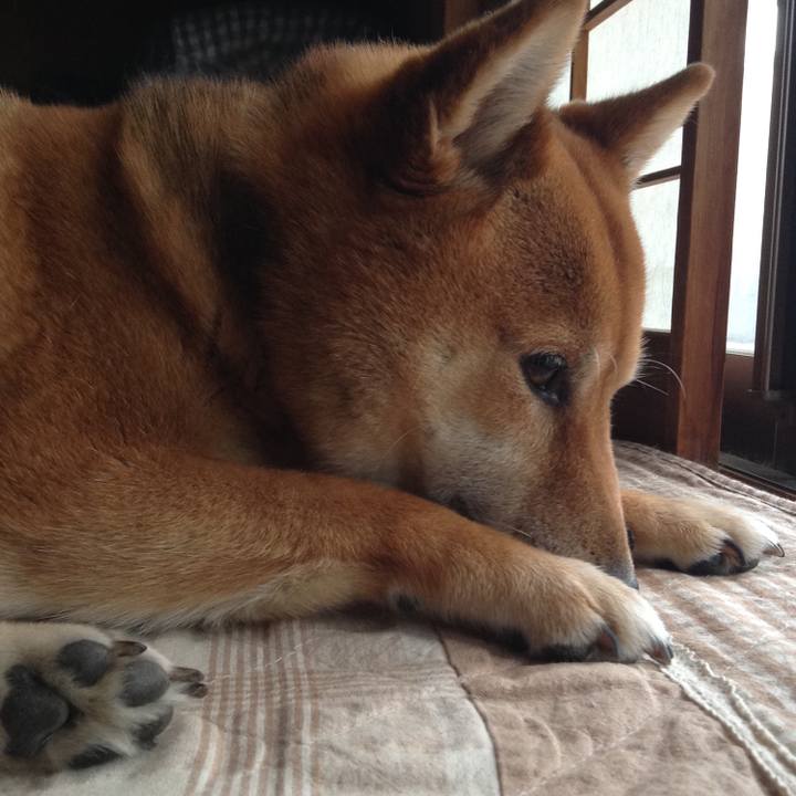 0c6cf196 818c 4764 a885 50366dba13c6