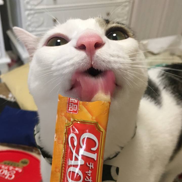 0c6d8ad3 1c10 4c78 b0c2 c64d42bc94b0