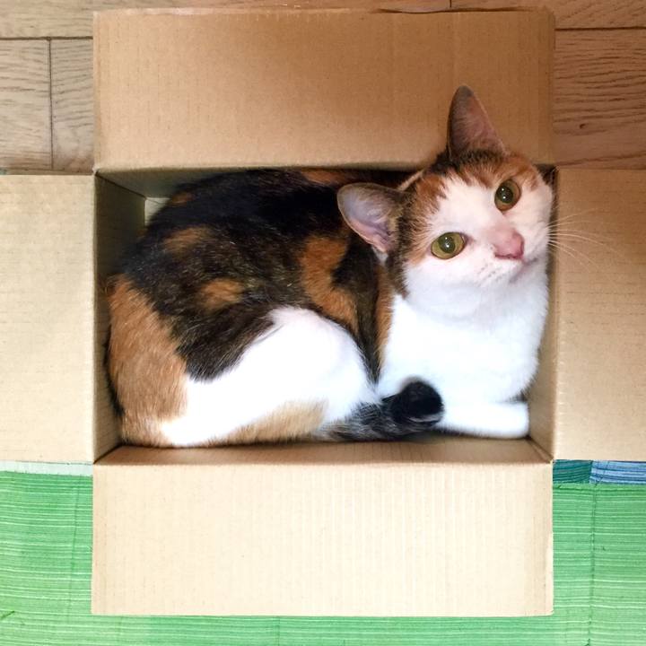 0c6dd03a 716d 4d81 82f9 a3bb4773fb5a