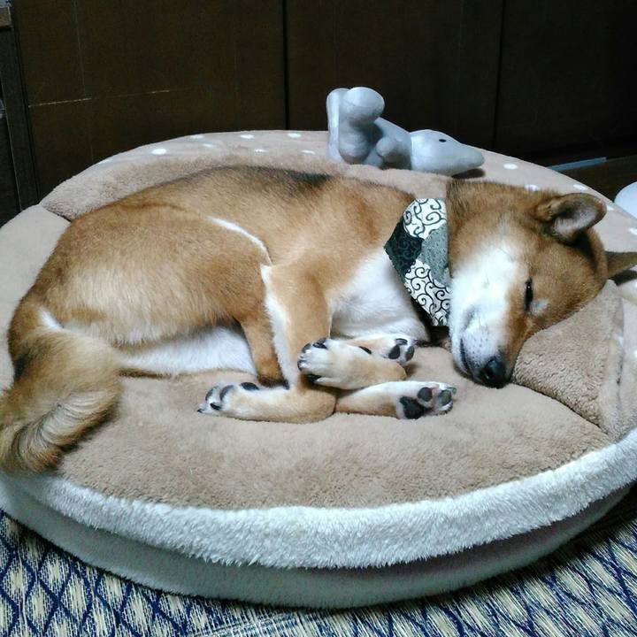 0c6df16a 44e2 4d39 b9b6 f5bcf4290463