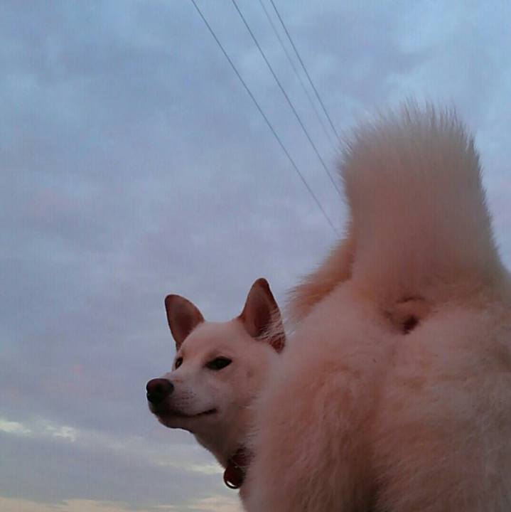 0c6df21f 1aac 48f5 b5b4 8f547361d8fe