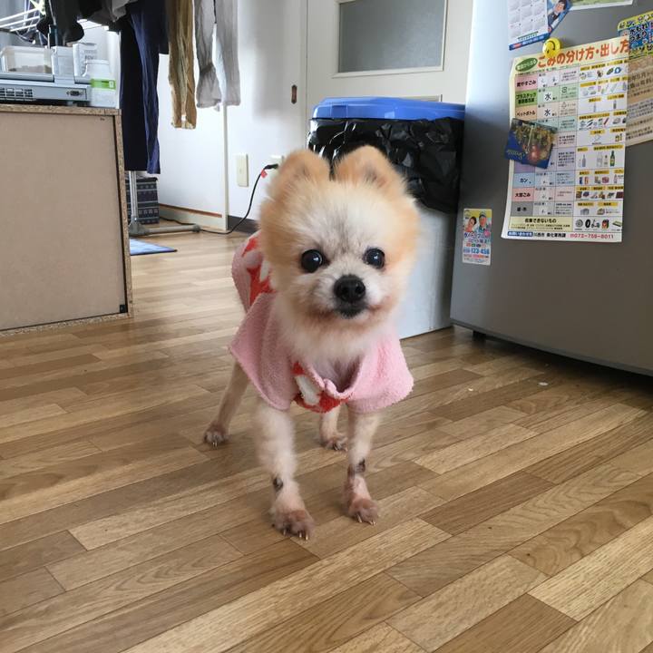 0c6e7b6c 5aef 4730 8c0a 39db55368e69