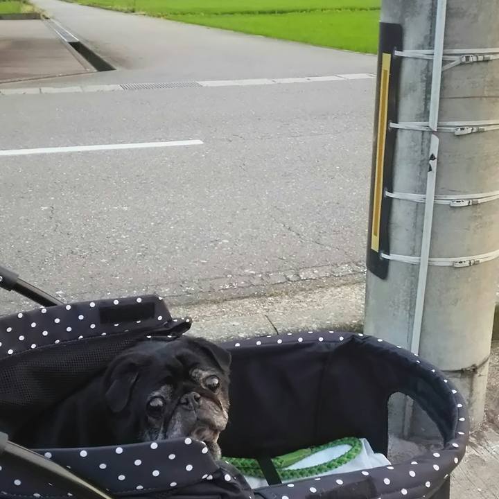 0c6e870f ea92 4367 8f52 166709c1aa05