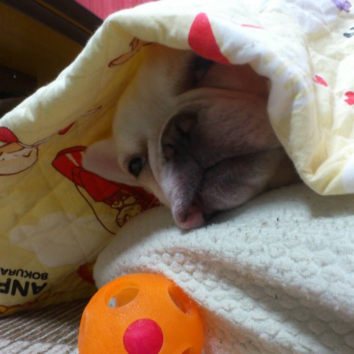 0c6eb292 694d 4cc5 a998 e763fa969e41