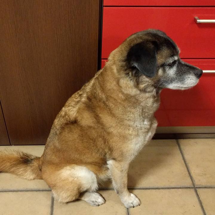 0c6ed178 473f 4c78 a4f6 f4467f524630