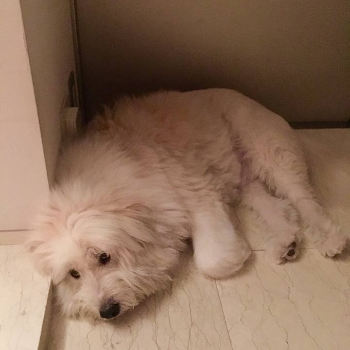 0c6ee7b1 3455 46a1 ace3 1a0db150c5ae