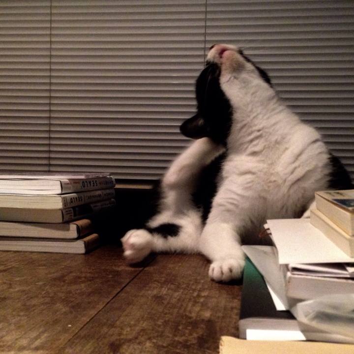 0c6f35de 8be1 4bc4 b6ae fb226ffa9740