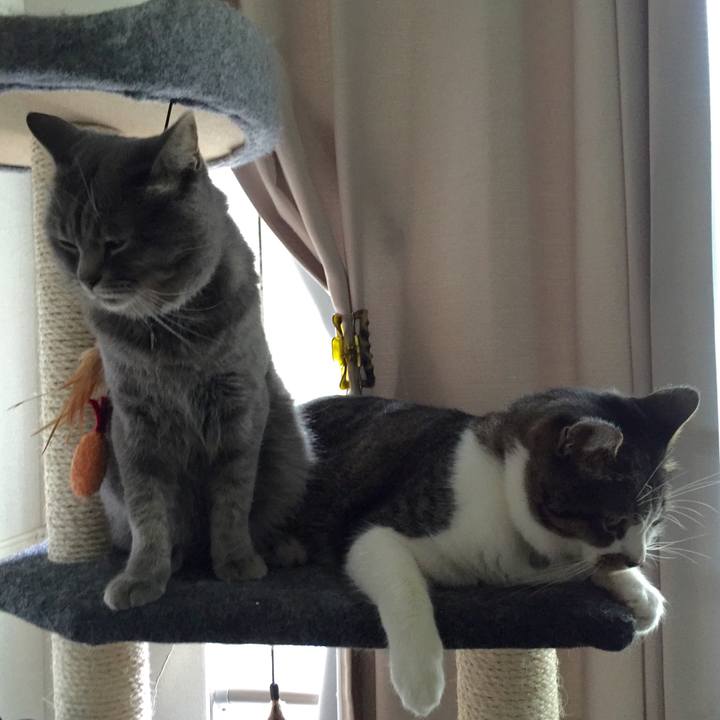 0c6f4d62 b5d3 4a0c 9065 97e428ef353e