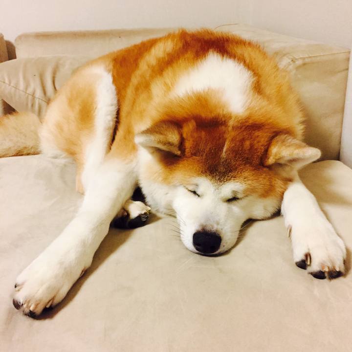 0c6fd07c f677 4a9f 942b f0afb66d3712