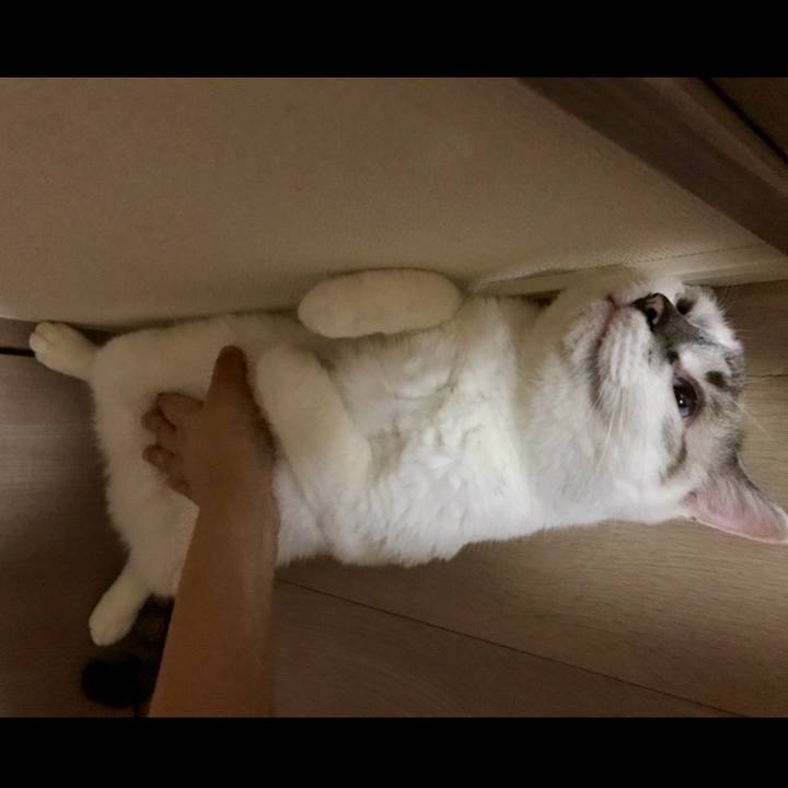 0c700afa 4243 45e2 bd92 15cbac94aa4a