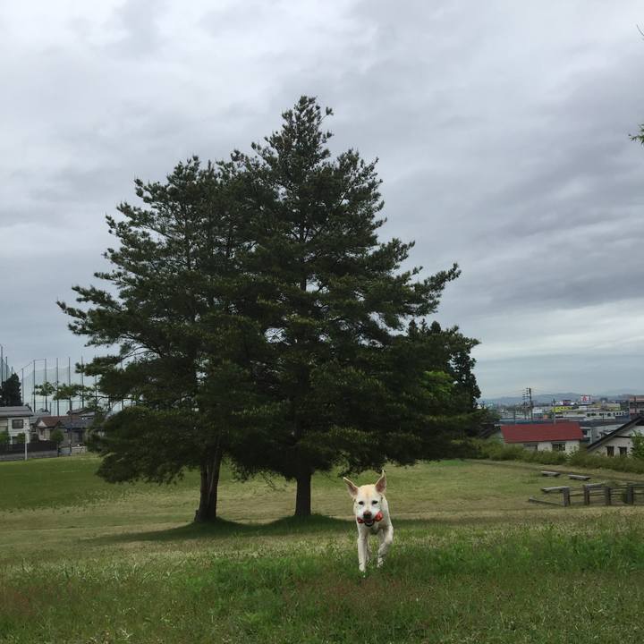 0c7040a2 8447 4db7 ab30 80dd792b3ed1