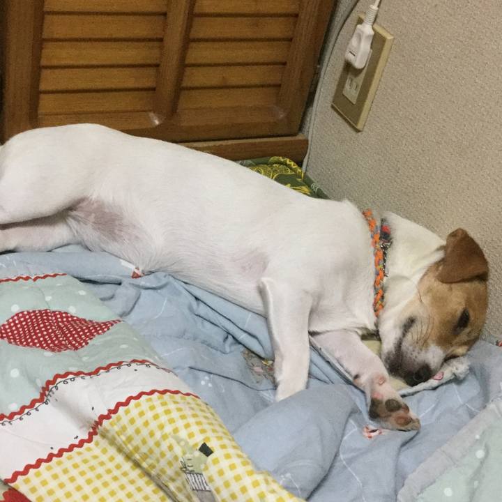 0c7042d5 e3aa 4f16 935c 2d2948f37ab3