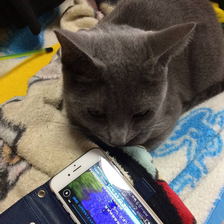 0c7045bb 0e92 4bb3 8e4c c852ef38a1e6