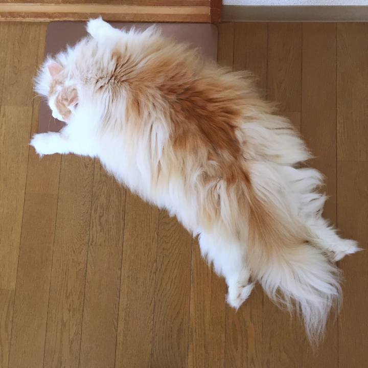 0c708785 16a3 45ac 9c16 aa042168d430