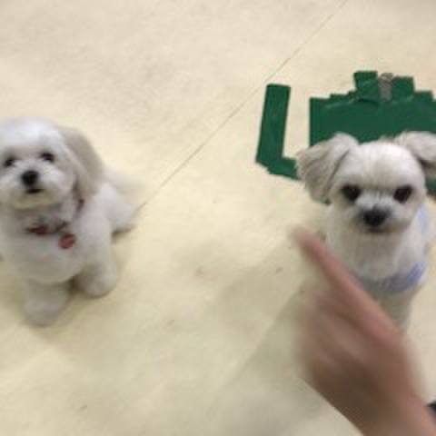 0c70cf70 e11b 49ae a485 8dbc7c612877